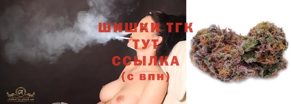 СК Протвино