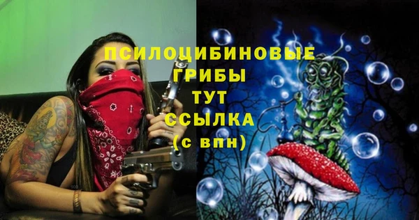 СК Протвино